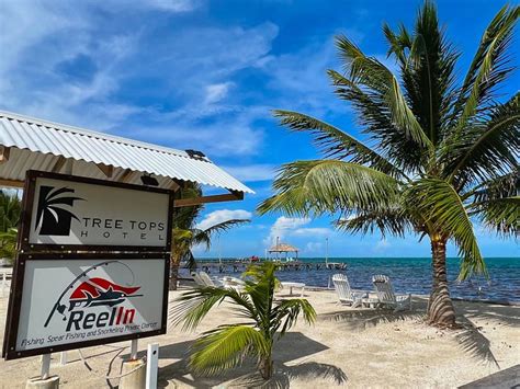 treetops hotel caye caulker.